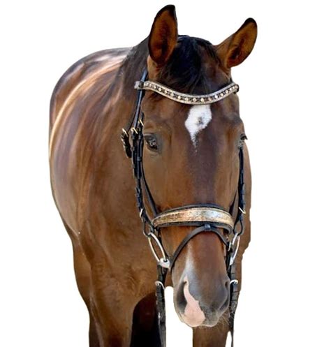 Hermes snaffle bridle halter ego